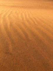 Desert sand dune closeup background.