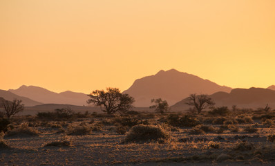 Fototapeta premium Sunset at the Namib desert plains, Namibia, Africa