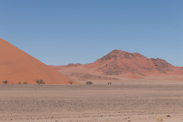 Fototapeta na wymiar Sand dunes in the Namib Naukluft Park, Namibia, Africa