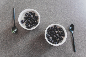 Fototapeta na wymiar plant-based snack, bowl of oat milk chia pudding with blueberry topping