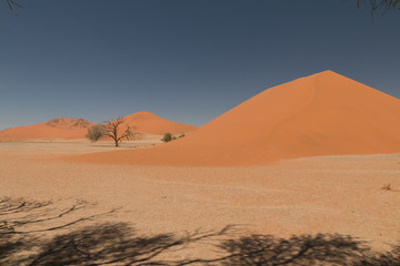 Dune 45, Namib Desert, Namibia, Africa