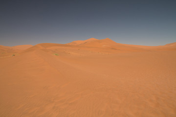 Fototapeta na wymiar Sand dunes in Sossusvlei, Namib Desert, Namibia, Africa