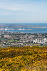 Stunning view of Dublin city and port from Ticknock, 3rock, Wicklow mountains. Yellow and green plants in foreground