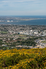 Stunning view of Dublin city and port from Ticknock, 3rock, Wicklow mountains. Yellow and green plants in foreground