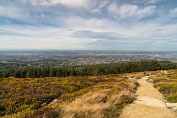 Fototapeta na wymiar Stunning view of Dublin city and port from Ticknock, 3rock, Wicklow mountains. Path, yellow and green plants in foreground