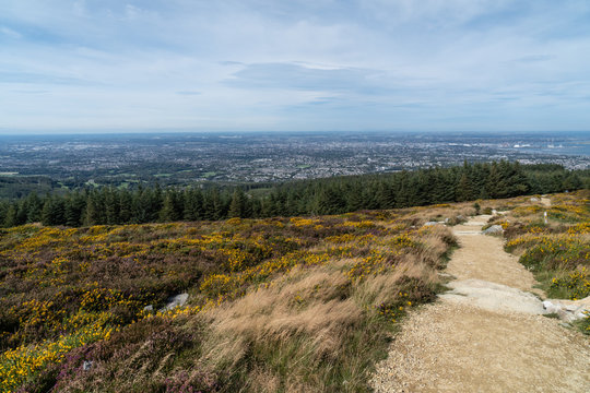Stunning view of Dublin city and port from Ticknock, 3rock, Wicklow mountains. Path, yellow and green plants in foreground