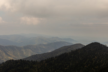 Fototapeta premium Great Smoky Mountains National Park