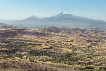 Naklejka premium Peaks of mountain Ararat in background on yellow pale space