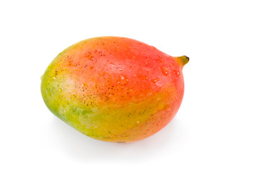 Ripe wet mango fruit isolated on a white background.