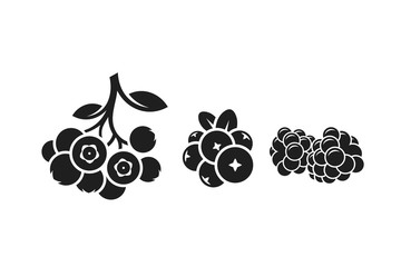 Fresh berries. Isolated blueberry cranberry and blackberry  © Aleksei_7799