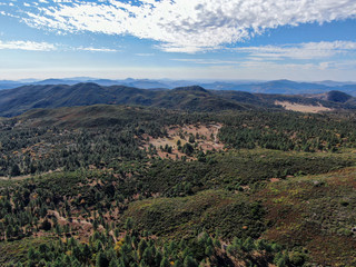 Aerial view of pine in Pine Valley during dry fall season, San Diego Country, California, USA