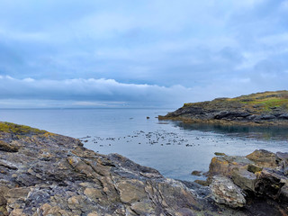 Rocky coastal shoreline of Friday Harbor in San Juan Island, WA, on an overcast day