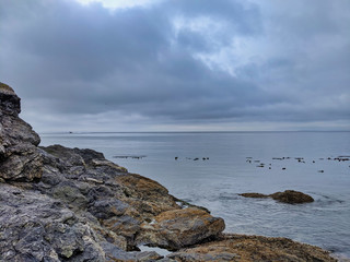 Fototapeta na wymiar Rocky coastal shoreline of Friday Harbor in San Juan Island, WA, on an overcast day