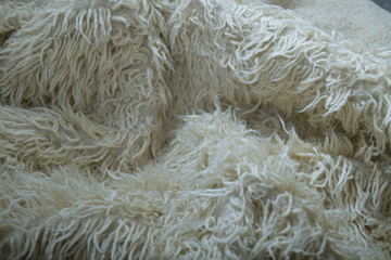 White wool with white top texture background. Cozy fur background in cream tones