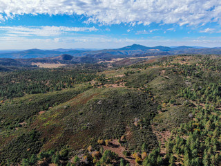 Fototapeta premium Aerial view of pine in Pine Valley during dry fall season, San Diego Country, California, USA