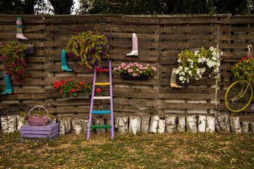 exterior garden fenced decoration territory of colorful object flower vase rubber boots and ladder on wooden wall background 
