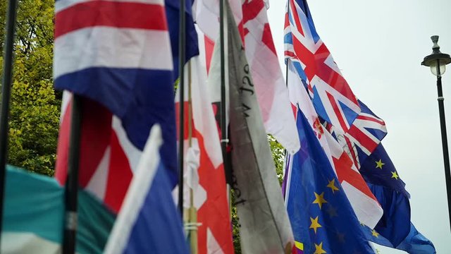 Flags Blowing In Slow Motion In The Wind At Brexit Demonstration