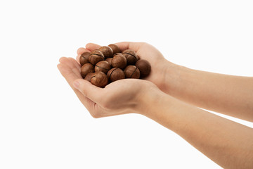 macadamia in hand with white background