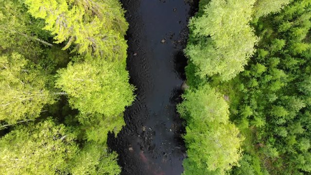 On the top view of a river
