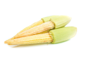 baby corn isolated
