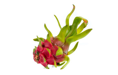 Fototapeta premium dragon fruit isolated