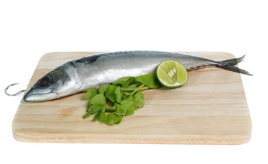 Fresh saba fish isolated on white background