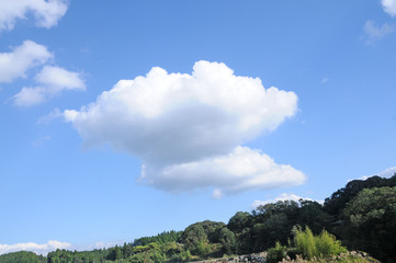 Obraz premium 青空と雲、空、雲、ふわふわ、快晴、くも、青、風、大空