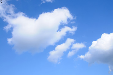青空と雲、空、雲、ふわふわ、快晴、くも、青、風、大空
