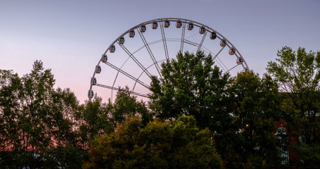 Empty ferris wheel spins above tree druing sunset at the golden hour.