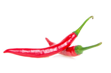 chilli isolated