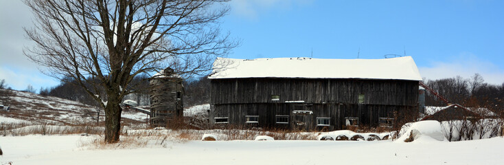  Winter landscape with an old barn after a snow storm  eastern townships Quebec Canada 
