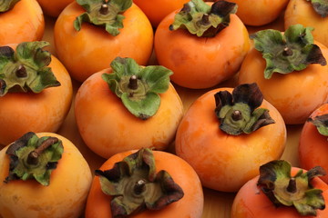 persimmon fruit in Okayama, Japan
