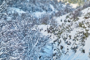 Vista de un cerro nevado