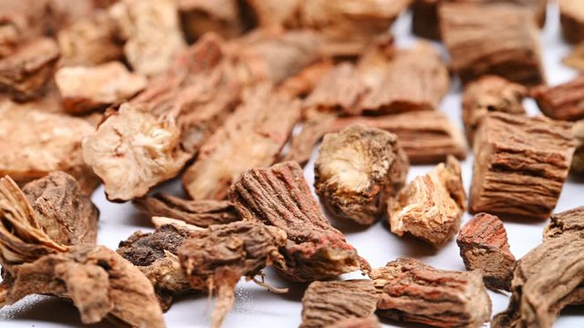 side view herb medicine Danshen or Salviae Miltiorrhizae Radix et Rhizoma or Dan - shen Root rotate and pause