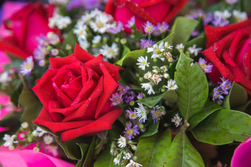 Close up of red roses and water drops