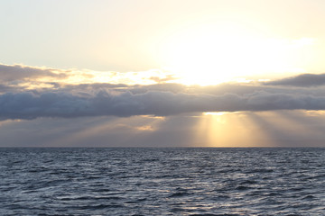 sunbeams on ocean