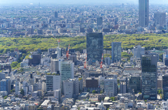 東京風景　2019　春　新緑　青空　六本木から望む原宿方面