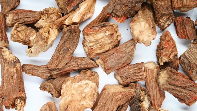 top view herb medicine Danshen or Salviae Miltiorrhizae Radix et Rhizoma or Dan - shen Root rotate and pause