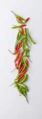 chili pepper on a white background..