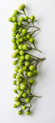 Pea Eggplants on white background..