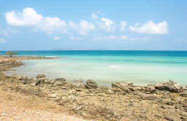 beach and tropical sea