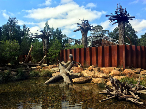 Rio Tinto Naturescape Kings Park In Western Australia