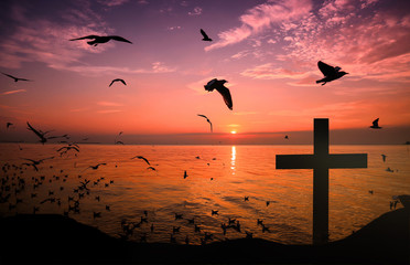 Christmas concept: the symbol of the cross of Jesus Christ on earth The back with a soft glow of sunset And birds that fly like freedom, like love, sacrifice, beautiful mercy