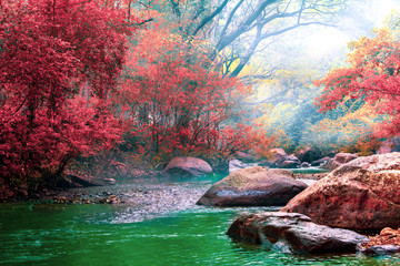 Hot Springs Onsen Natural Bath Surrounded by red-yellow leaves. In fall leaves fall .Waterfall among many foliage, In the fall leaves Leaf color change. - obrazy, fototapety, plakaty