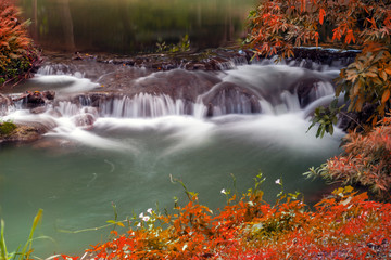 Hot Springs Onsen Natural Bath Surrounded by red-yellow leaves. In fall leaves fall .Waterfall among many foliage, In the fall leaves Leaf color change.