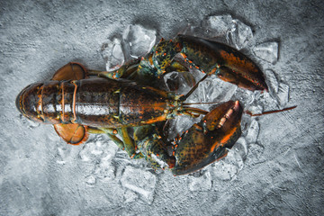 Fresh lobster shellfish in the seafood restaurant for cooked food / Raw lobster on ice on a black stone table