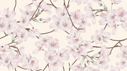 Obraz na płótnie Canvas Floral seamless pattern, Somei Yoshino sakura flowers with branch on light orange