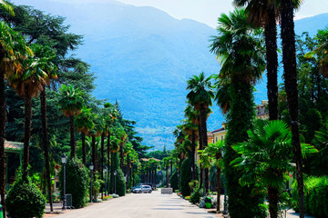 Landscape with road in Arco town on Garda Lake in Trentino in Italy. Rural scenery of countryside with palm trees in Trento region at Alps hills and mountains. Motorway with green nature.
