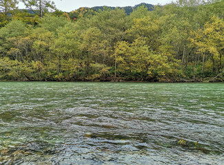 Stream in the tropical autumn forest