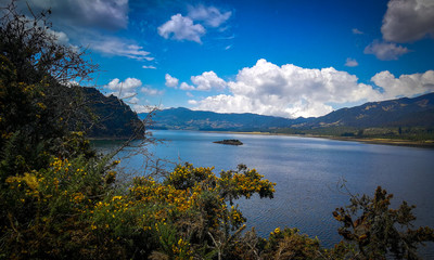 Fototapeta premium sdr